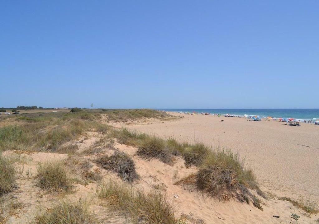 Гостевой дом Chozito De Paja A 300M. Playa Mangueta Эль-Пальмар Экстерьер фото